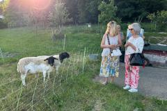 IMG-20250621-WA0003